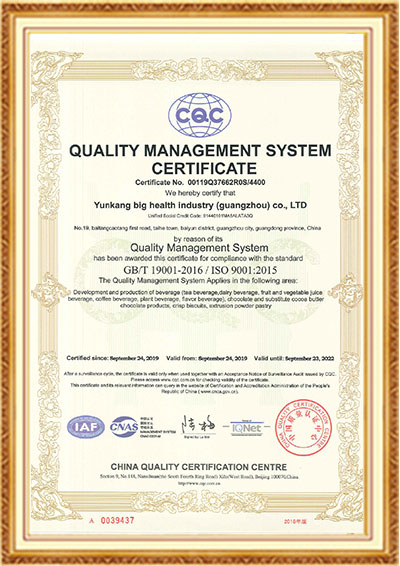 Z6尊龙ISO9001（英文）